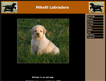 Tablet Screenshot of mikellilabs.com